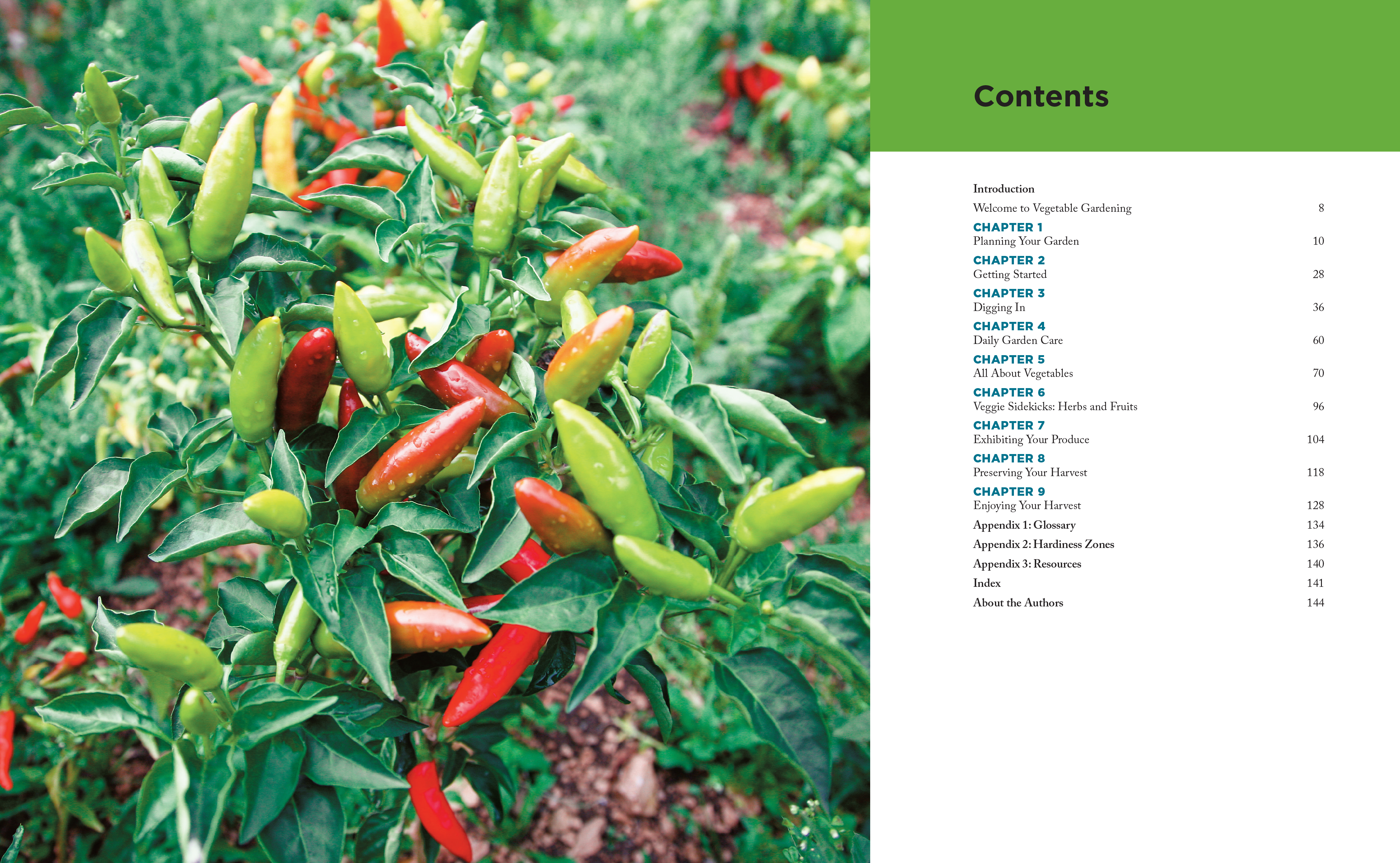 Горький перец птичий глаз. Перца capsicum annuum. Перец острый птичий глаз. Тайский чили птичий глаз. Перец глаза птички.